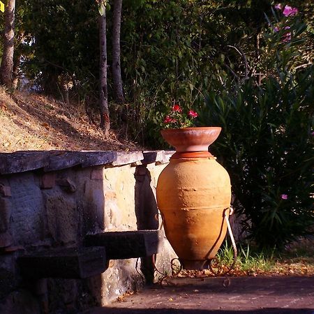 Tenuta Macetona Celle sul Rigo Ngoại thất bức ảnh